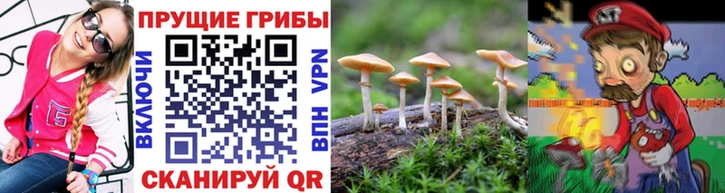 Галлюциногенные грибы ЛСД  Купить где  Светогорск 